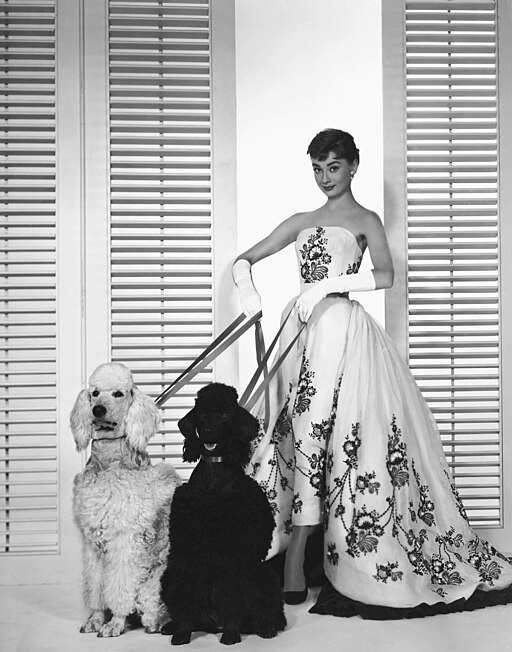 Sabrina - 1954