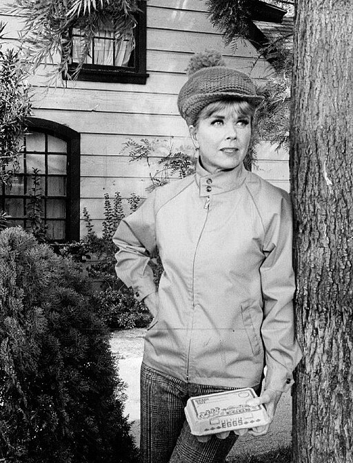 Doris Day