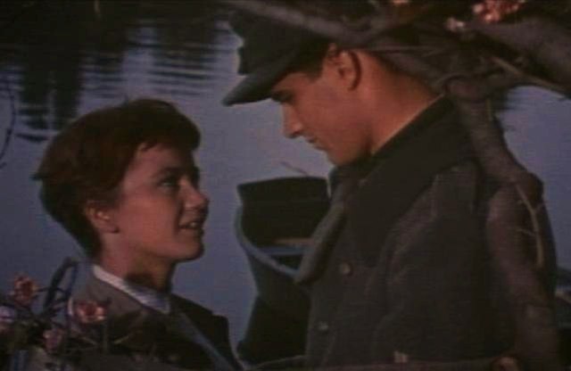 John Gavin